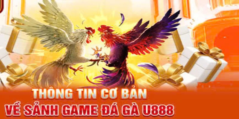 Tìm hiểu những thông tin cơ bản về đá gà U888